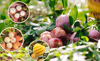 Trái cây mùa hè: Món quà ngọt ngào, giải nhiệt giữa nắng nóng