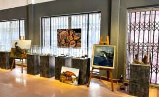 Triển lãm hóa thạch tại Huế 