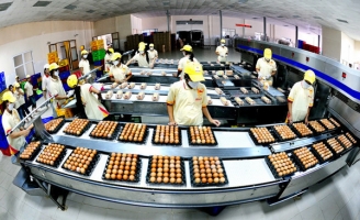 VinaCapital: 'Dừng đầu tư nhưng vẫn để mở cơ hội trở lại với Ba Huân'