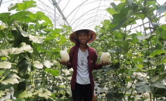 Xây nền tảng đưa 'tam nông' bứt phá